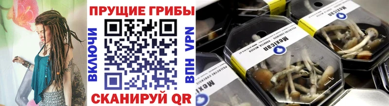 Купить закладки  Волжский  Галлюциногенные грибы Magic Shrooms 